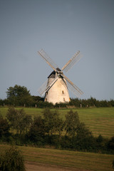 Fototapeta premium windmühle
