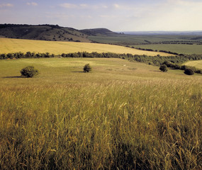 rolling countryside