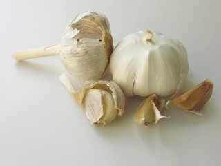 garlic