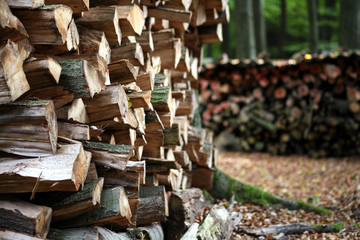holzstapel