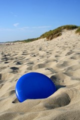 frisbee in sand