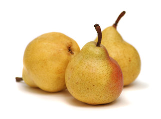 three pears on white background