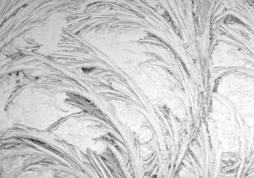 black and white frost