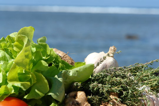 salade et ingredient