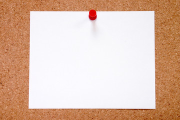 blank paper stuck to a notice board, ready for you