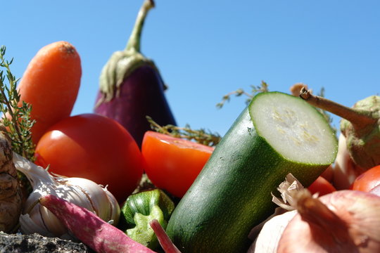 legumes tranche en vrac