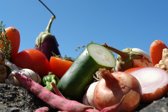 legumes fond ciel bleu
