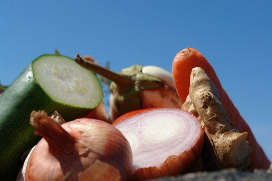 legumes