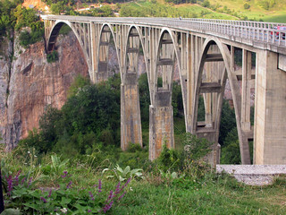 bridge over canyon