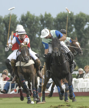 polo