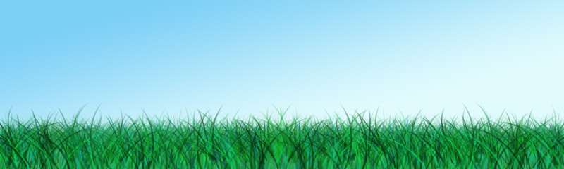 Fototapeta premium hintergrund - gras - wiese