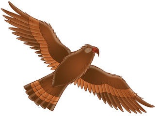 eagle