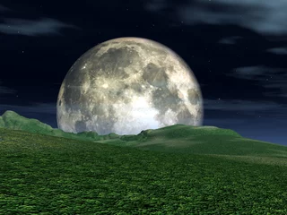 Afwasbaar Fotobehang Volle maan en bomen maan uitzicht 2