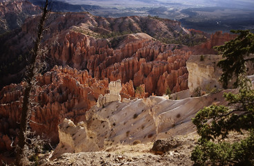 bryce canyon n.p.