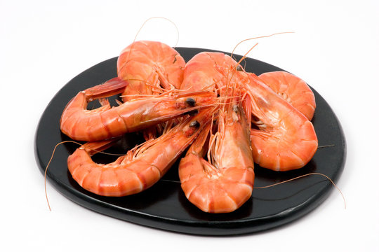 crevettes bouquet