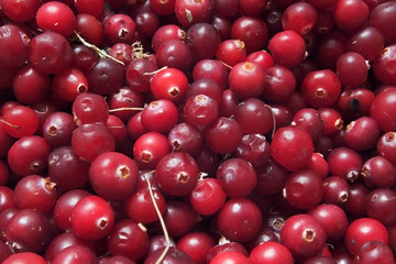 cranberries