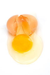 cracked egg