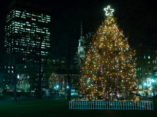 boston's christmas tree