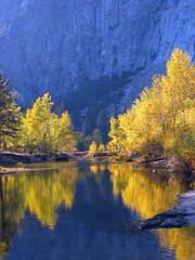 Naklejka premium yosemite fall color