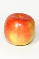 fruits 069