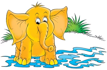 Stickers pour porte Zoo l& 39 éléphant