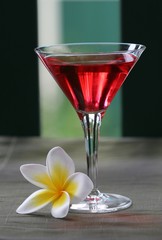 plumeria punch tropical drink