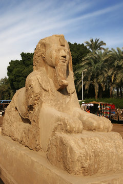 alabaster sphinx - memphis, ägypten