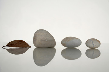 alignement