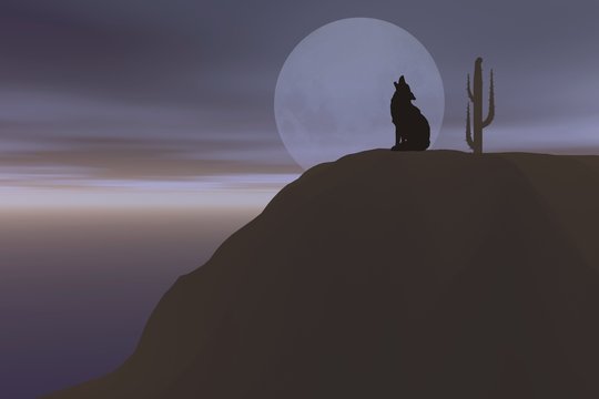 wolf