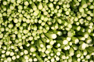 cut vegetable at market