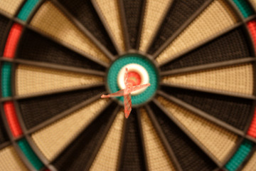 img1354cibleaucentre