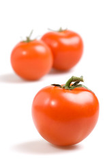 fresh tomatoes