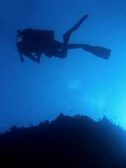 divers silhouette