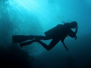 divers silhouette © simon gurney