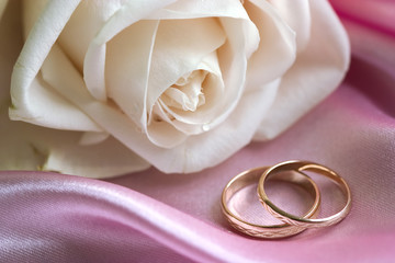 white rose and wedding bands