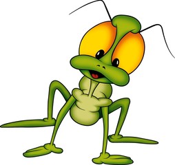 beetle 24 long-legged