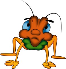 beetle 25 long-legged