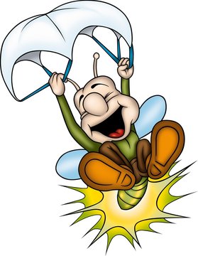 lightning bug