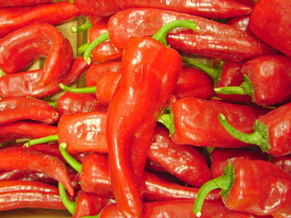red hot chili pepper