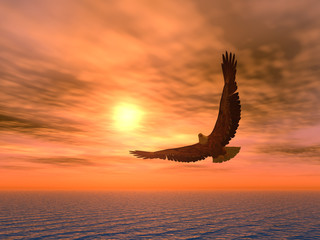 Plakat eagle_variant
