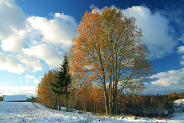 winter meet autumn
