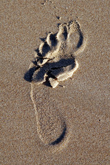 footprint