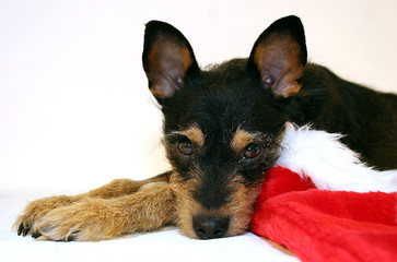 ich warte auf weihnachten