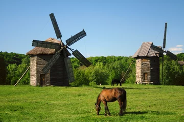 Photo sur Plexiglas Moulins mill