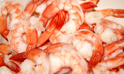 shrimp