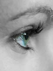 profile of a face