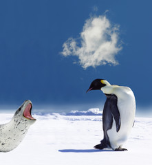 Fototapeta na wymiar Pingwin w niebezpieczeństwie