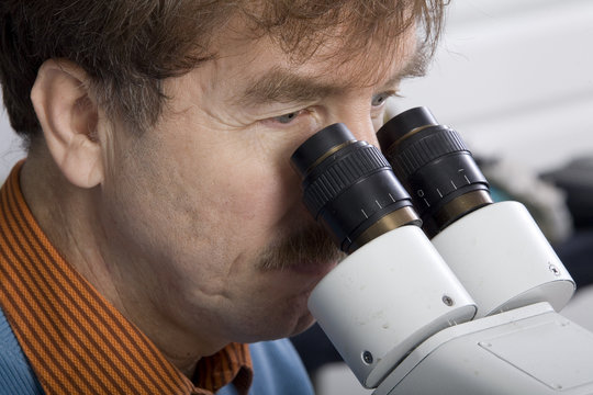 forscher f&uuml;r ausserirdisches gestein