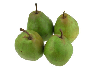 green pears on white #2