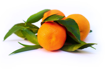 a pile of tangerine branches